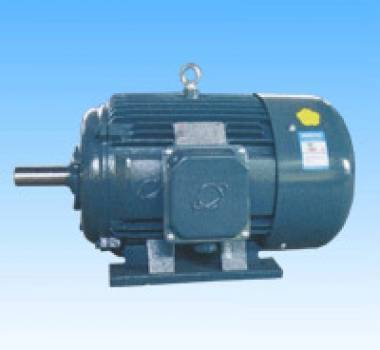 YD、YDT~315系列變極多速三相異步電動機(jī)，東莞環(huán)球電機(jī)廠